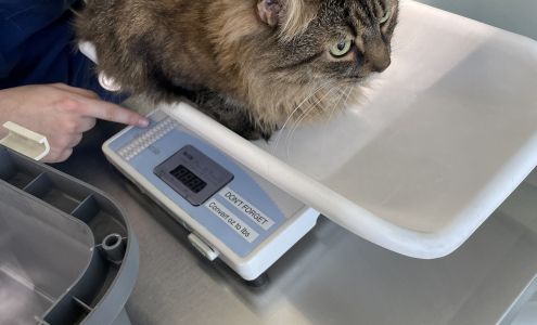 Hampden Veterinary Hospital