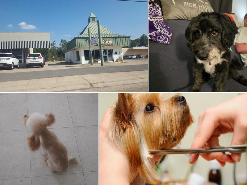 Paradise Pet Grooming