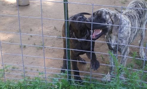 Hidden Acres Farm Southampton