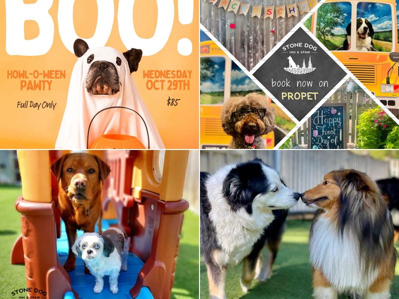 Stone Dog Inn & Spaw