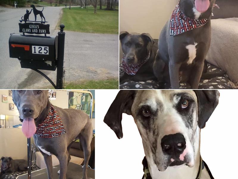 Ginia's Claws and Paws