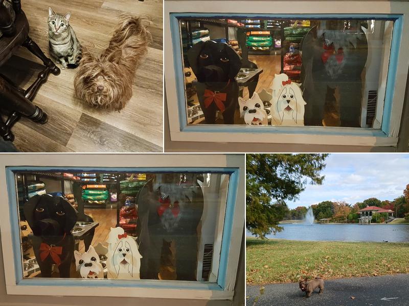 Murphy's Mutts & Cuts