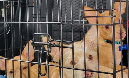 Humane Society of Southwest Missouri