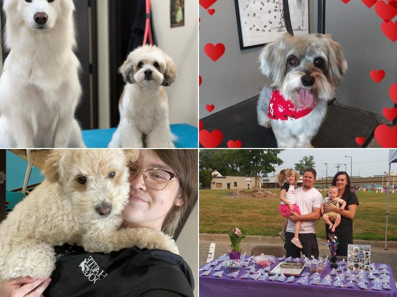 Haute Dog Luxury Pet Spa