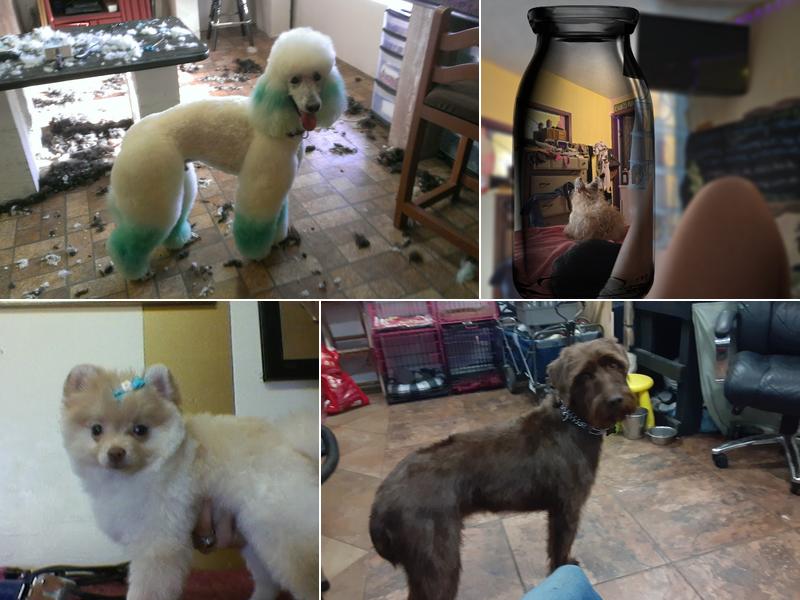 Julie's A Walk In The Park Pet Grooming