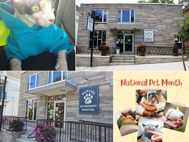 Parkside Veterinary Hospital: Devries R DVM