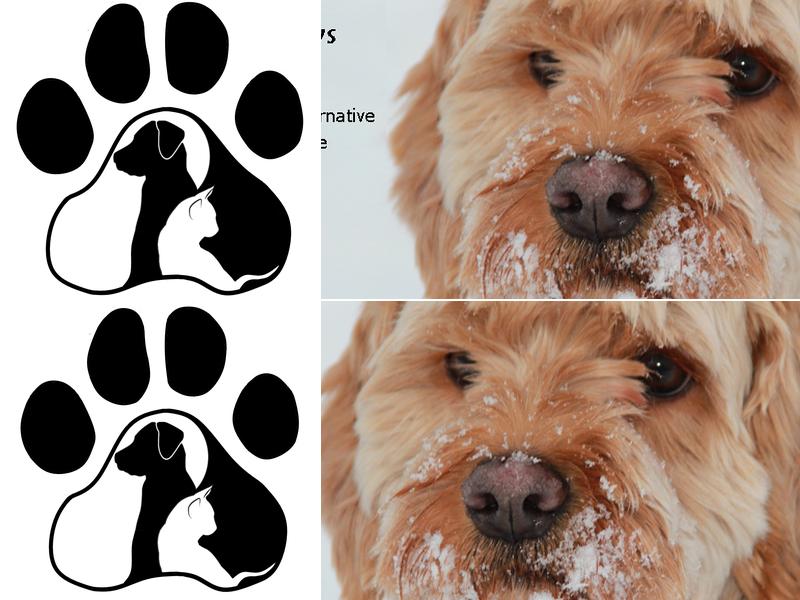 Tranquil Paws Veterinary