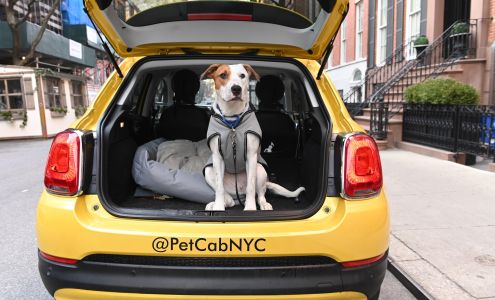 Pet Cab NYC