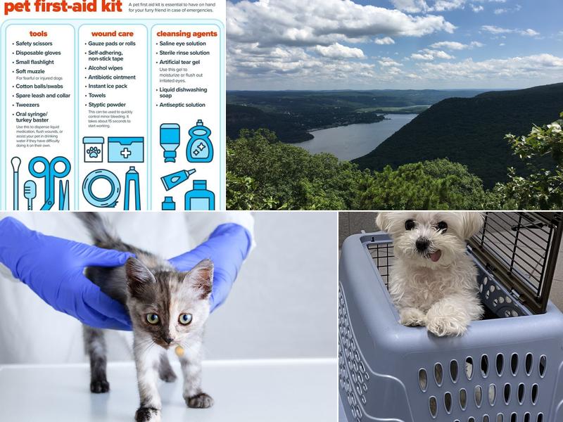 Manhasset Animal Hospital