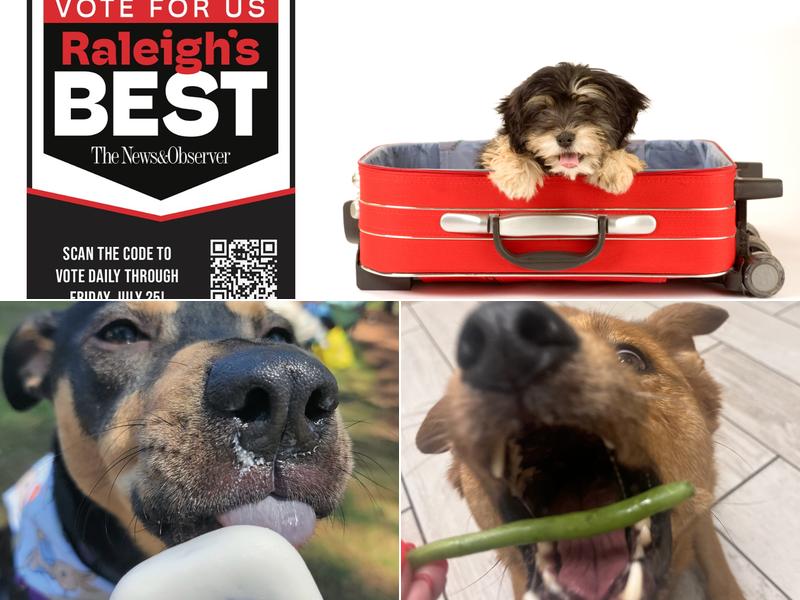 Oak Heart Veterinary Hospital & Emergency at South Saunders