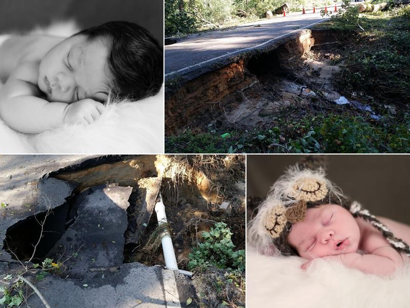 Polly Farley Photography