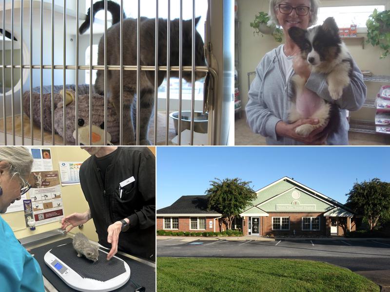 Adams Farm Animal Hospital, P.A.