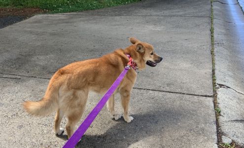 Humane Society of Concord and Greater Cabarrus County