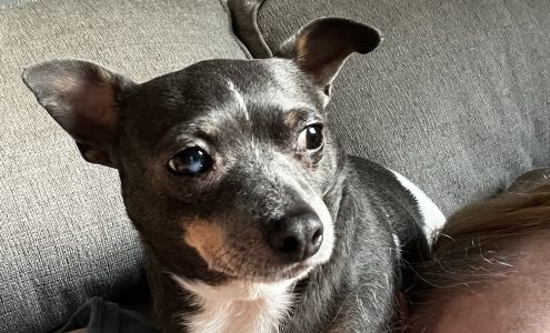 Swimming River Veterinary Hospital