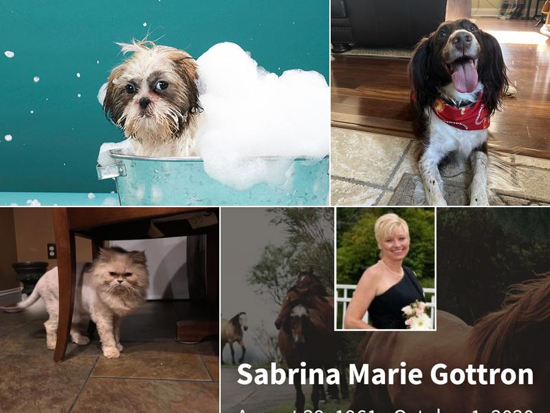 The Barking Lot & Cat's Meow