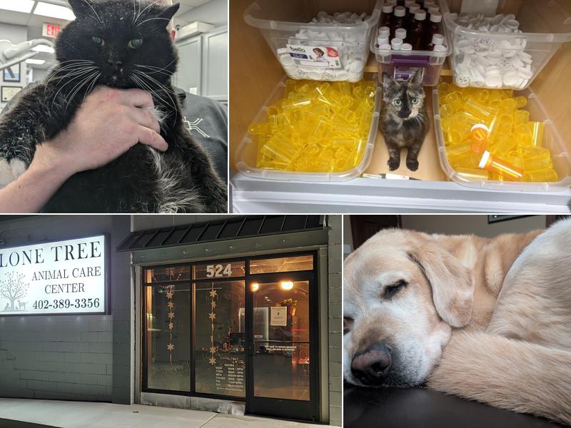 Lone Tree Animal Care Center