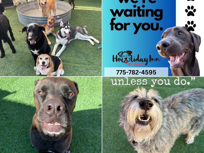 Howliday Inn Pet Resort