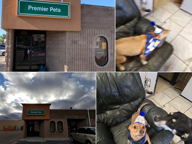 PREMIER PETS GROOMING and Day Camp