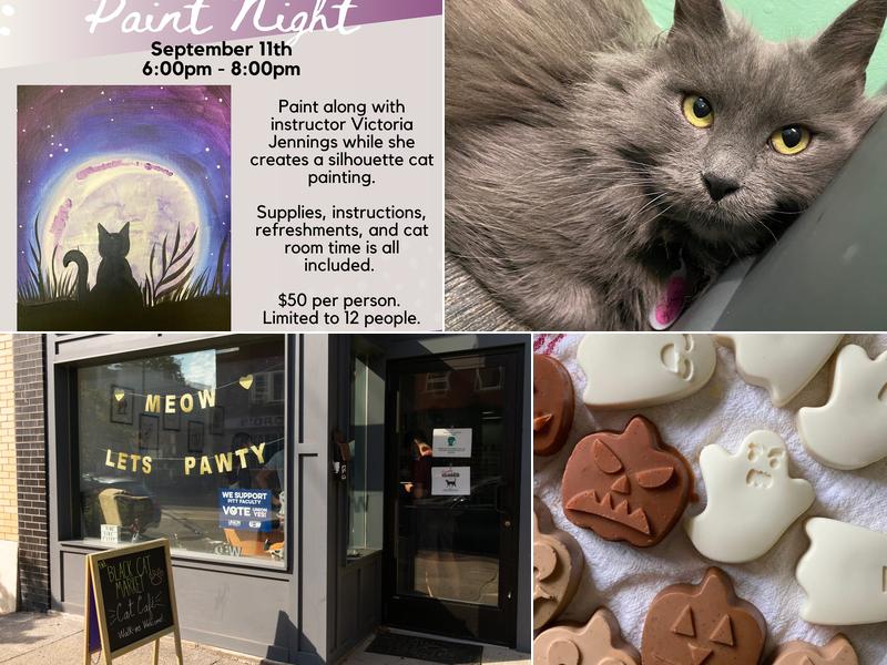 The Black Cat Market