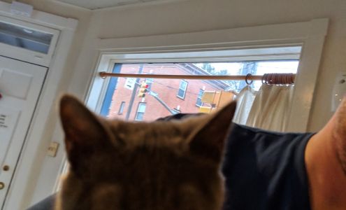 Organization for Responsible Care of Animals