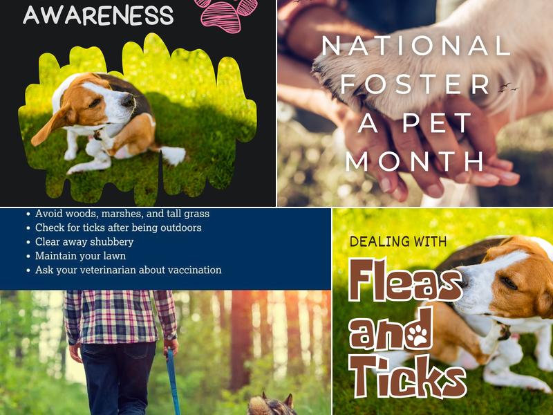 Mayfield Pet Hospital: Ringer J P DVM