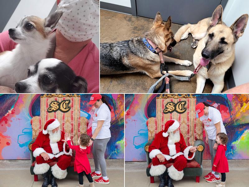 EaDo Veterinary Clinic