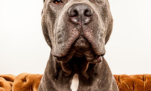 Robyn Arouty Photography