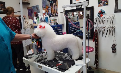 Need Us Bark Us Dog Salon & Spa 3269 Commerce St, Amarillo Texas 79109