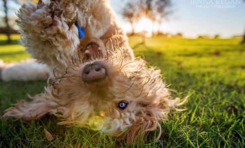 Jenna Regan Photography