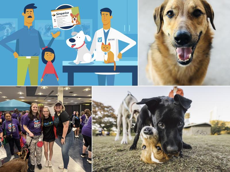 Thrive Pet Healthcare