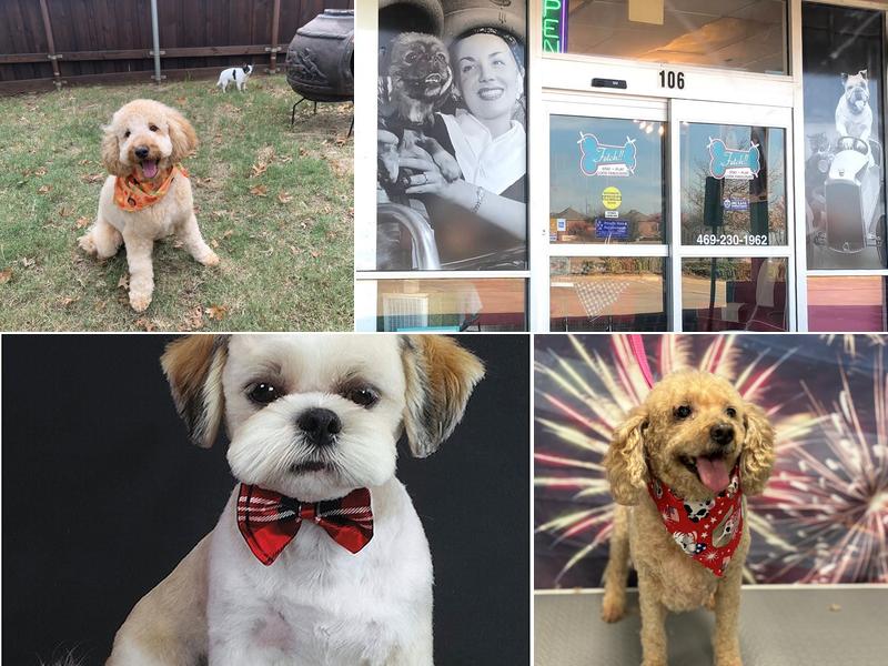 Fetch!! Grooming & Boarding