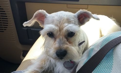 Furry Friends Pet Lodge