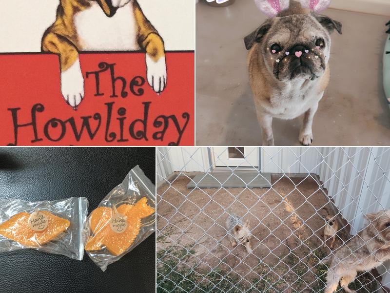 The Howliday Inn Dog Suites