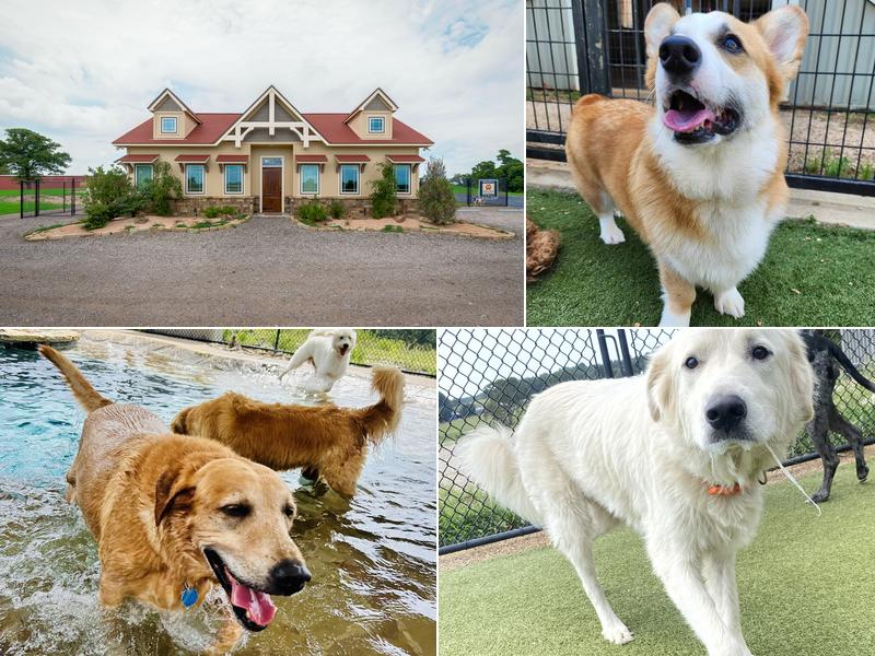 Circle Star Pet Resort & Training