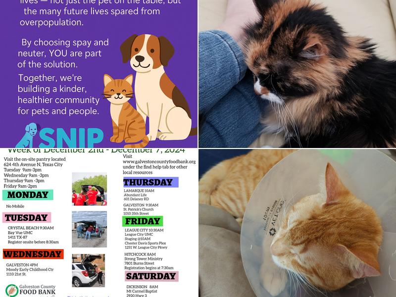 SNIP of Texas Spay/Neuter