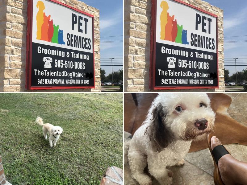 Pet Services