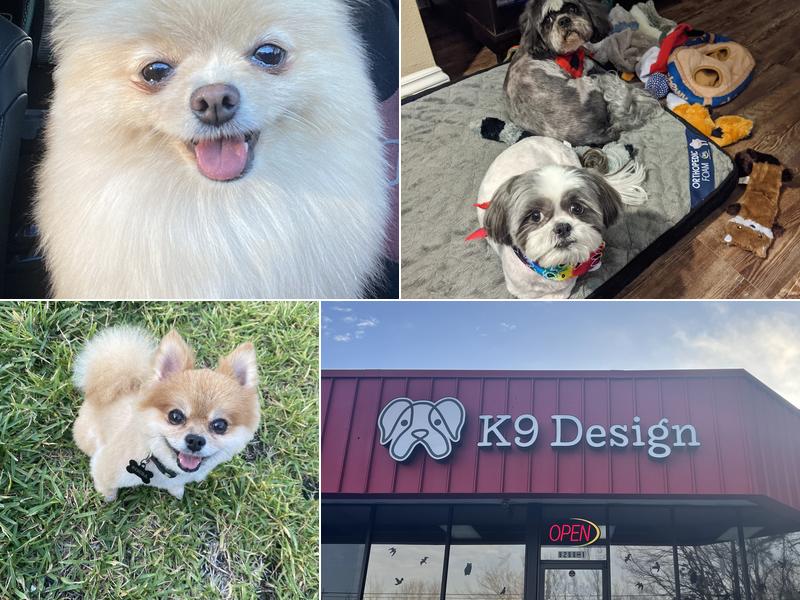 K-9 Design Pet Grooming
