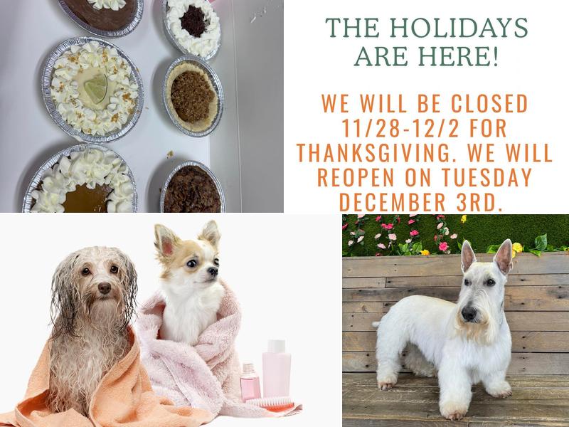 Mutz & Kutz Grooming