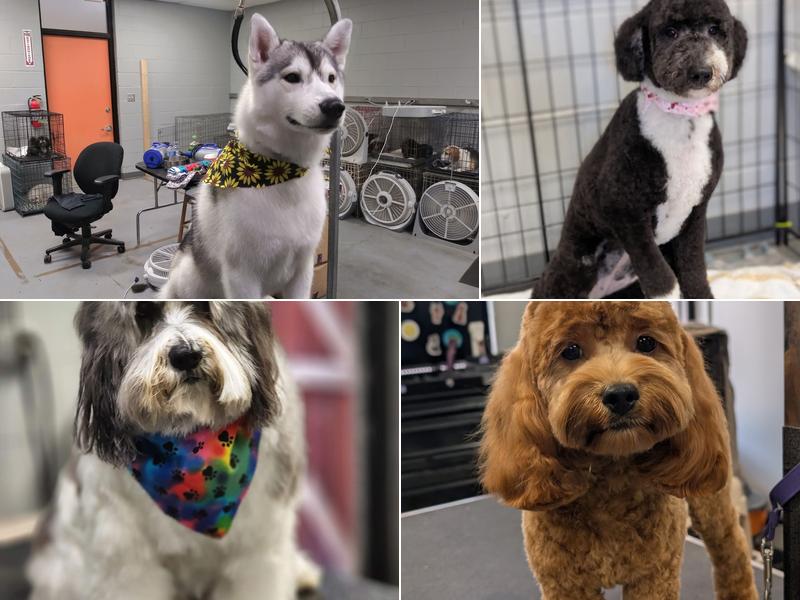 Groomingdales of Columbia