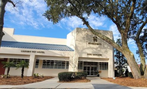 K9 Resorts Luxury Pet Hotel Mount Pleasant