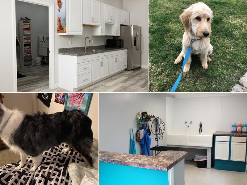 Alice's Pet Grooming