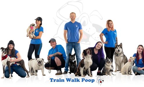 Train Walk Poop