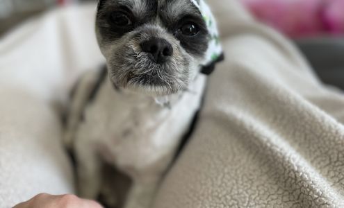 Crazy About Pets 1190 N Main St Suite 13, Springville Utah 84663