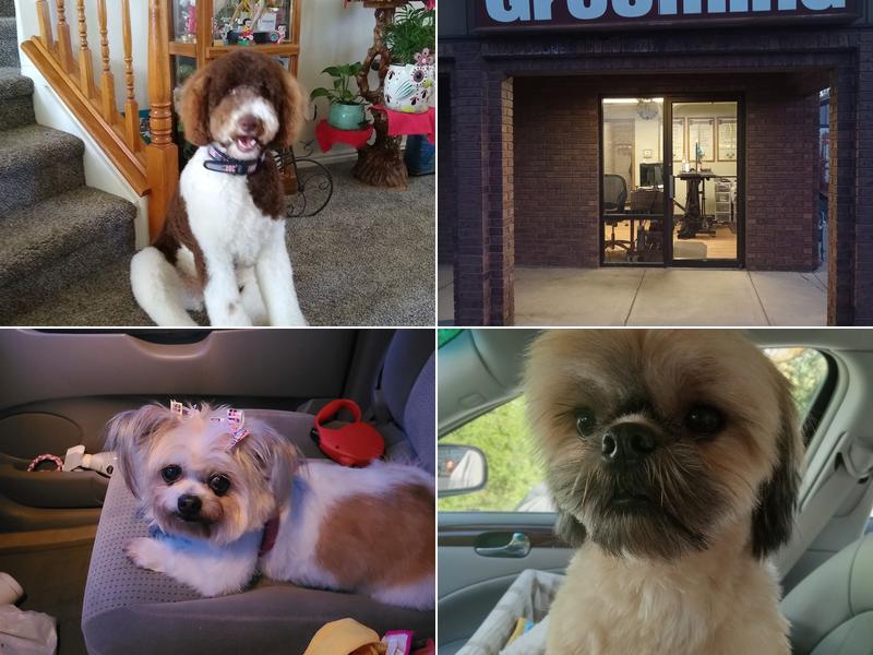 The Polished Pet Parlor