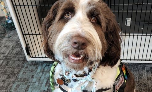 Sydnee's Pet Grooming 663 N Marketplace Dr, Centerville Utah 84014