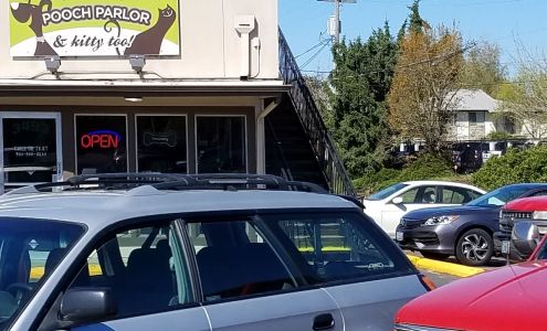 Pooch Parlor and kitty too