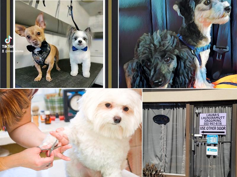 Laura's Laundramutt Grooming LLC