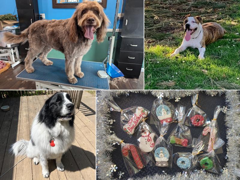 Groomingdale's Pet Pawlor