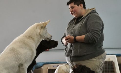 Best Friends Obedience & Agility School