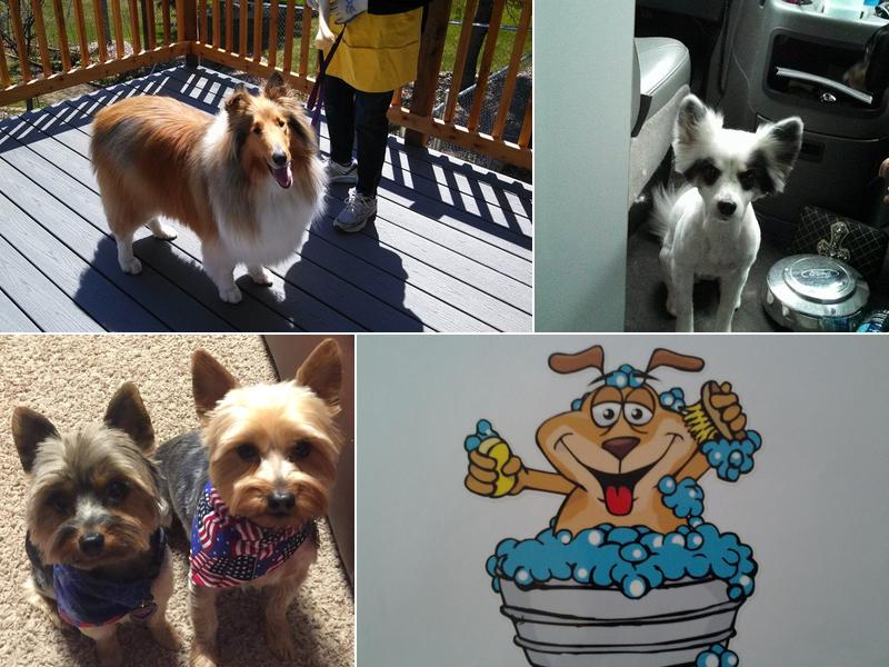 Tannis' s Curbside Kutz